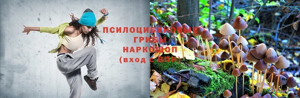 винт Лиски