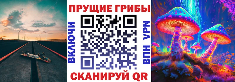 Псилоцибиновые грибы GOLDEN TEACHER  Куровское 