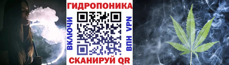 Канабис VHQ  Куровское 